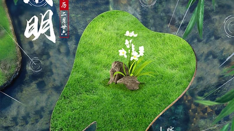 补牙与根管治疗：揭秘两种牙齿修复方法的差异**